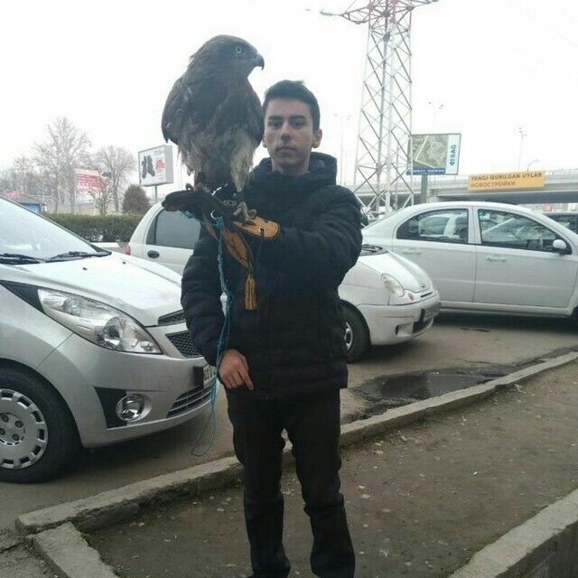 ���������� �������, ���� ������� ����������, 26 ���, ������������ ��� ������, ����� � ���������, c�������� ���������, ���������