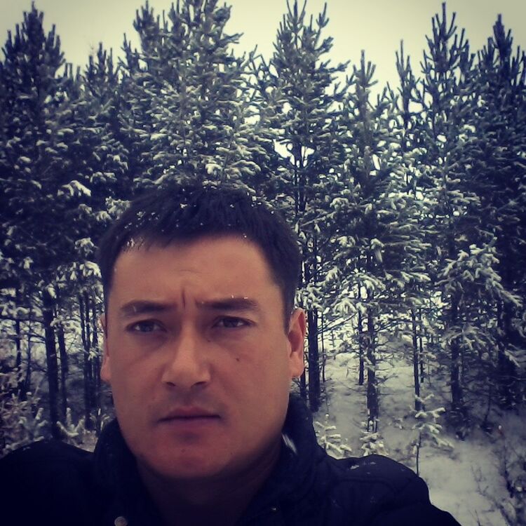  8577915  Nikolay, 41 ,    
