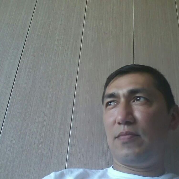  50658565  , 43 ,    