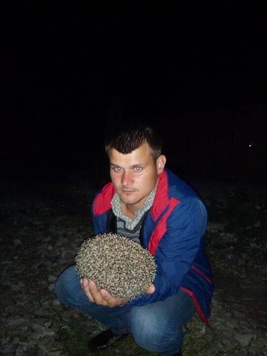 ���������� ������, ���� ������� ���������, 34 ����, ������������ ��� ������