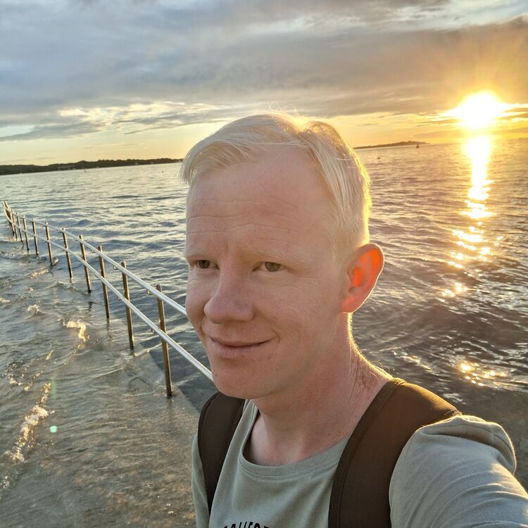  Modling,   , 31 ,   ,   