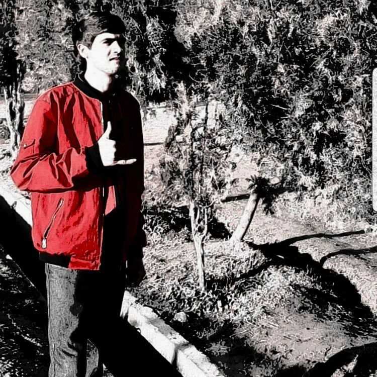 ���������� �����-���������, ���� ������� �������, 28 ���, ������������ ��� ������, ����� � ���������