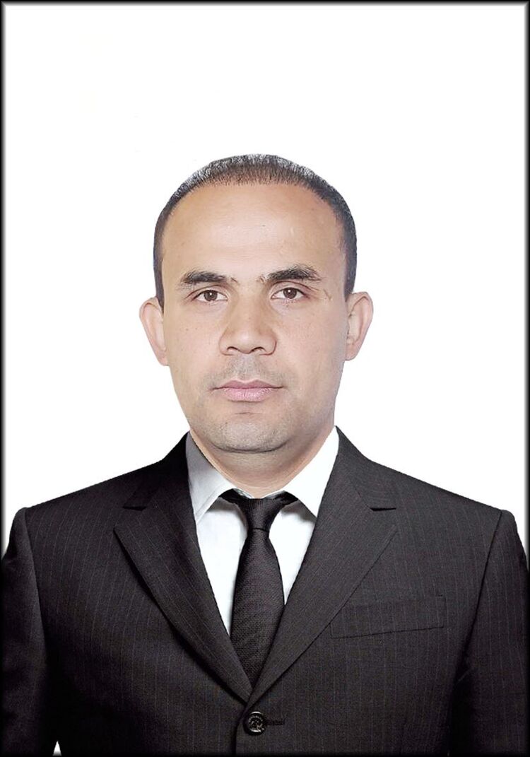  38816655  , 31 ,    