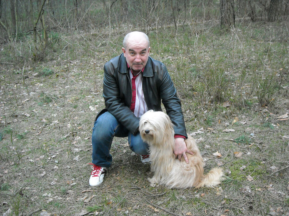  ,   , 61 ,   