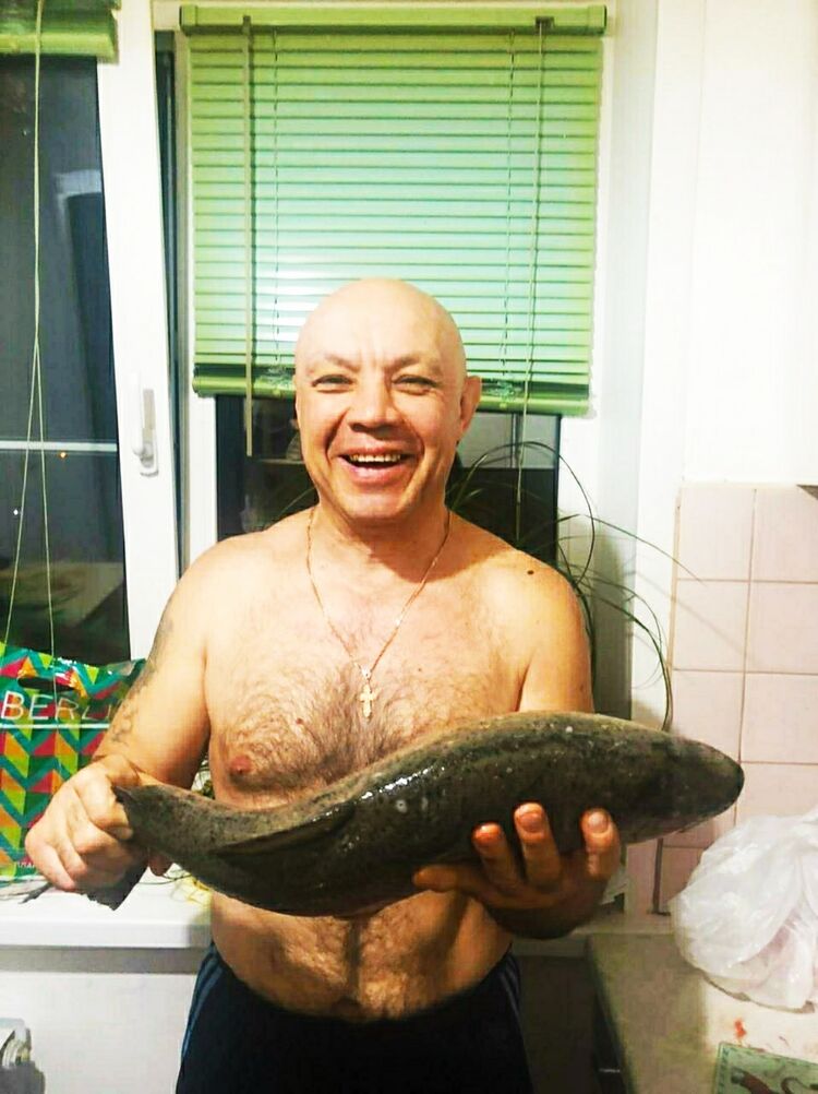 ���� 26205005 ������� �������, 53 ����, ���� ���������� � ��������