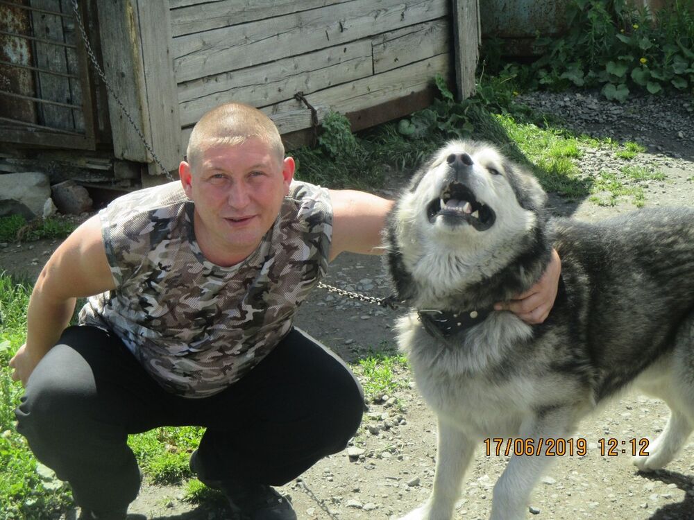 ���������� �����������, ���� ������� �������, 44 ����, ������������ ��� ������, ����� � ���������, c�������� ���������