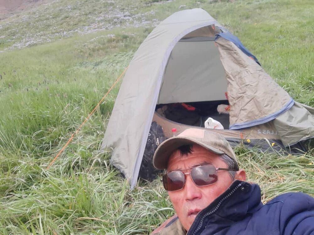 ���� 41934165 ������� ����, 54 ����, ���� ���������� � ������