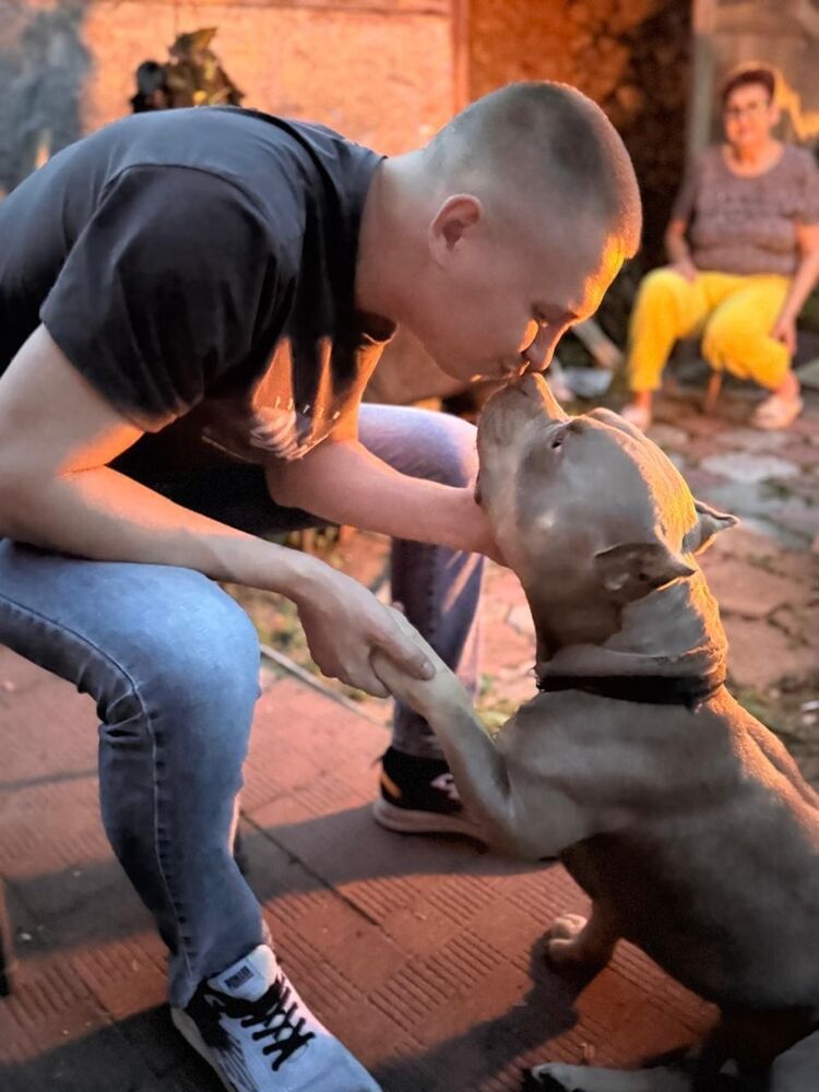 ���������� �������, ���� ������� �������, 26 ���, ������������ ��� ������, ����� � ���������, c�������� ���������, ���������