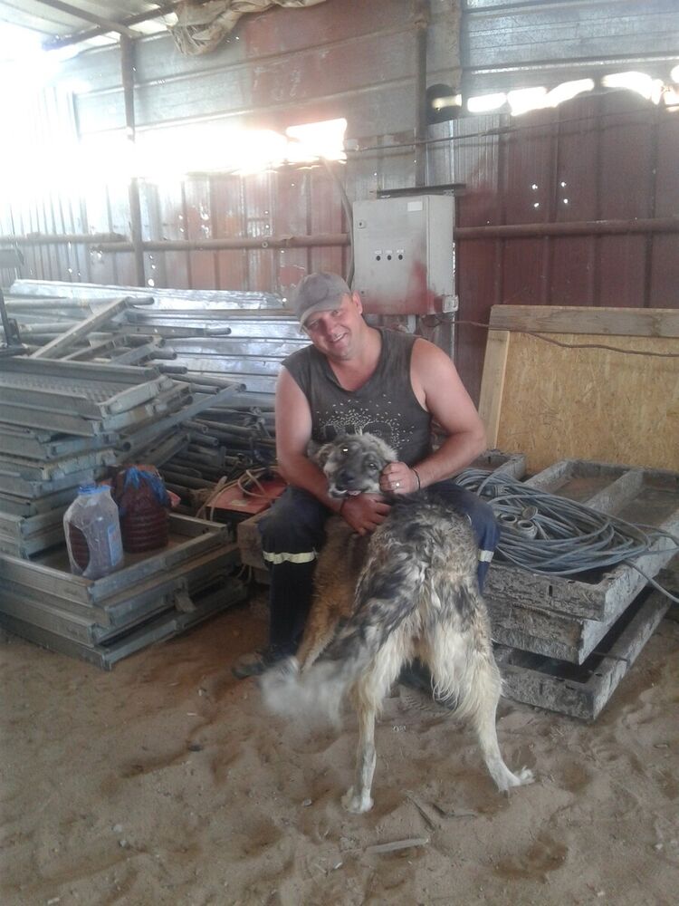 ���������� �������, ���� ������� ����, 40 ���, ������������ ��� ������, ����� � ���������, c�������� ���������