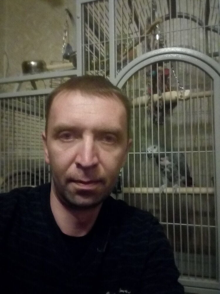 ���� 22067275 ������� ������, 43 ����, ���� ���������� � ����