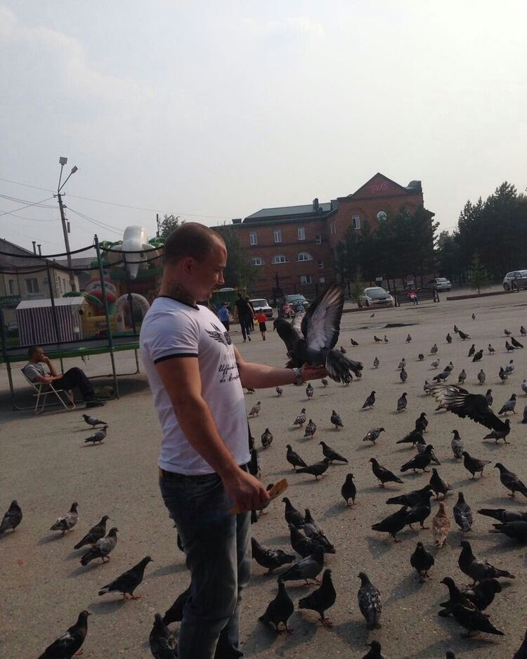 ���� 8340335 ������� �������, 33 ����, ���� ���������� � ��������