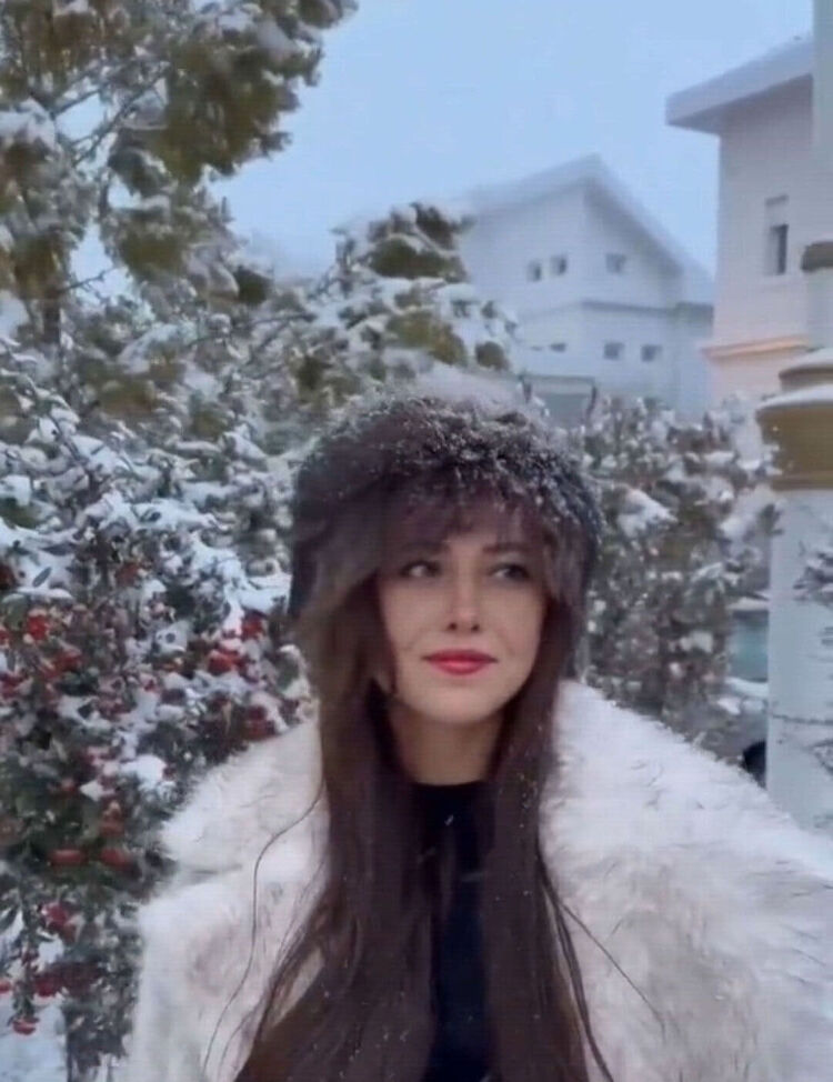 ���������� �����, ���� ������� Svet, 44 ����, ������������ 