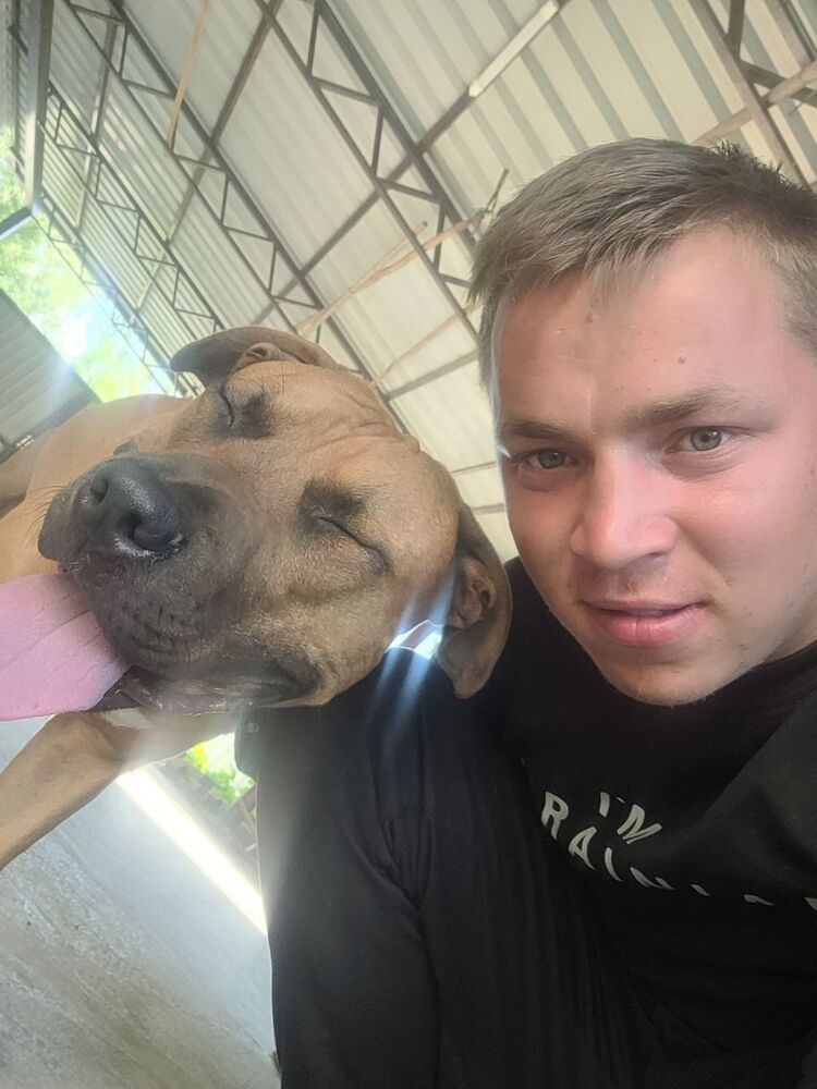 ���������� ��������, ���� ����� ������, 22 ����, ������������ ��� ������, ����� � ���������, c�������� ���������