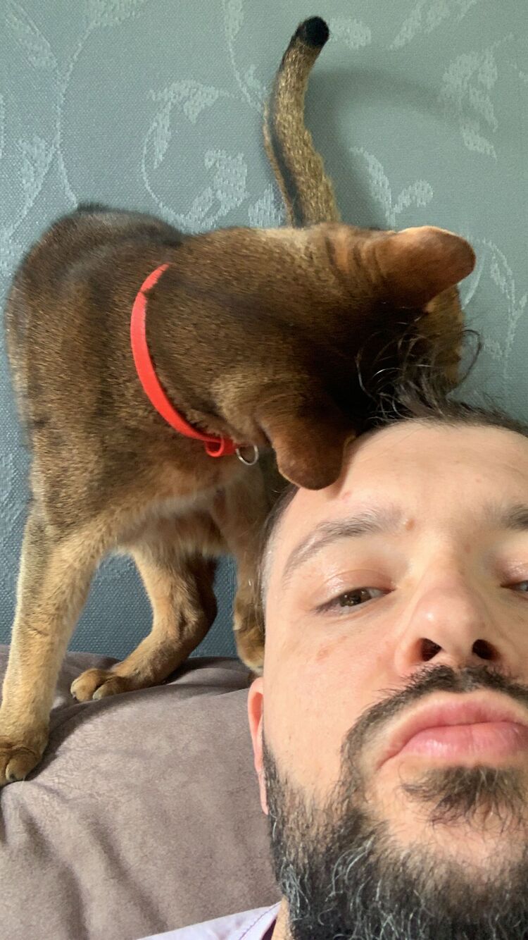 ���������� ������, ���� ������� KIR, 38 ���, ������������ ��� ������, ����� � ���������