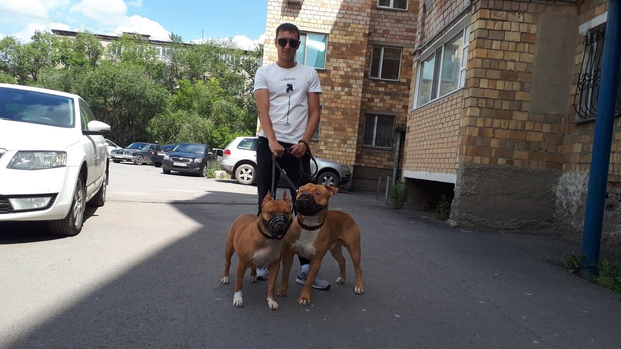 ���������� ���������, ���� ������� ������, 37 ���, ������������ ��� ������, ����� � ���������, c�������� ���������, ���������