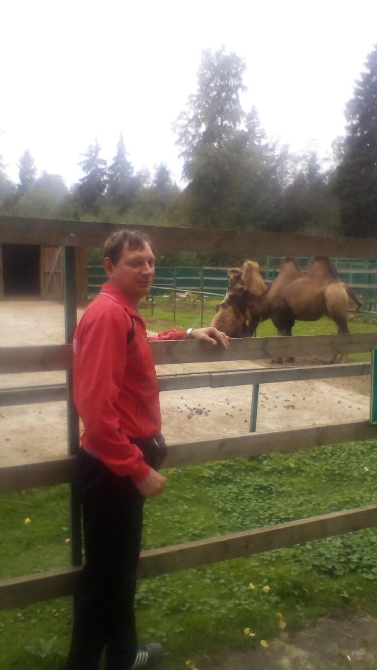 ���������� ��������, ���� ������� �������, 43 ����, ������������ ��� ������, ����� � ���������, c�������� ���������, ���������