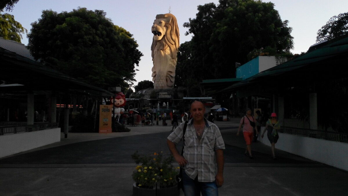  ,   , 55 ,   , 