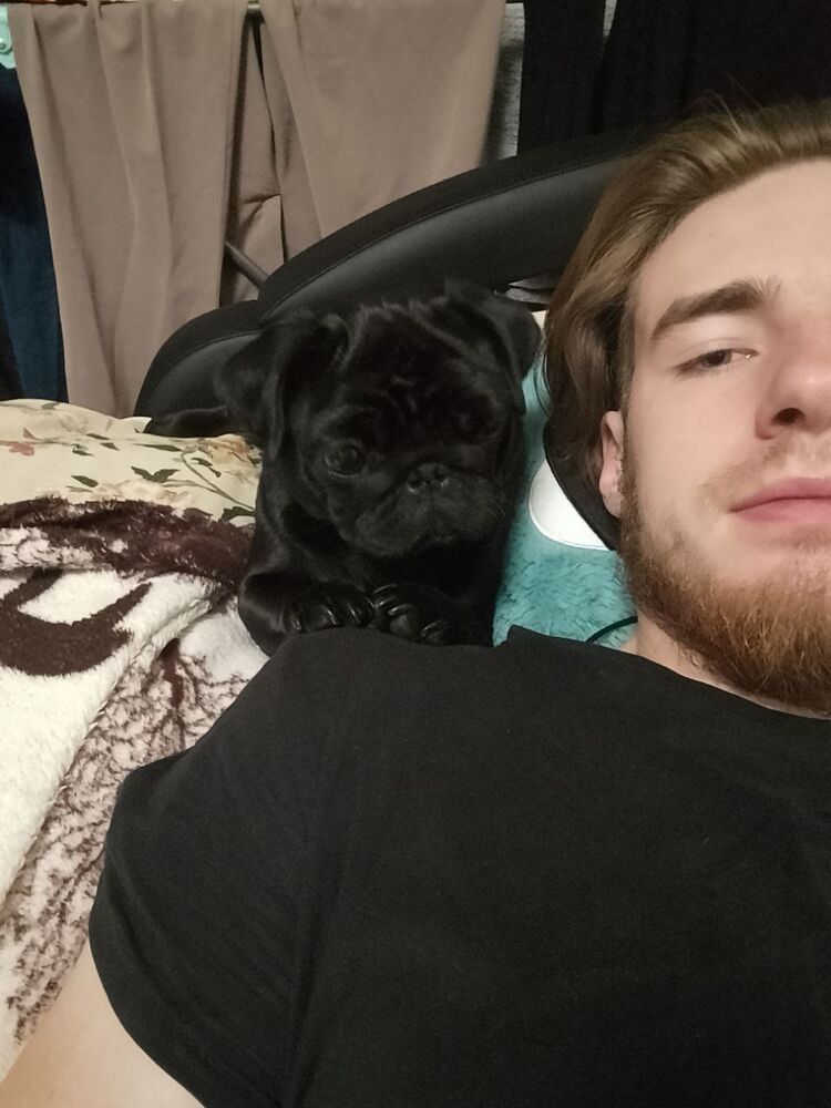 ���� 40649685 ����� ������, 25 ���, ���� ���������� � ���������