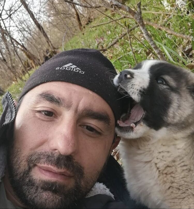 ���������� ��������, ���� ������� ������, 36 ���, ������������ ��� ������, ����� � ���������