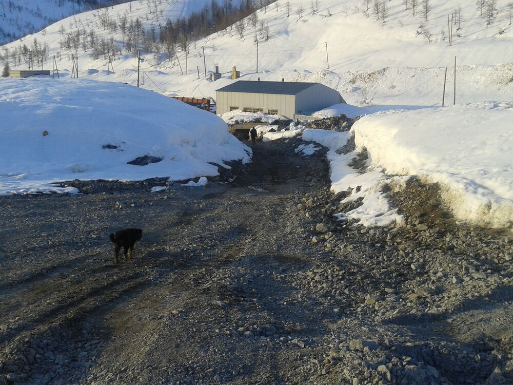  5797155  Aleksei, 48 ,    