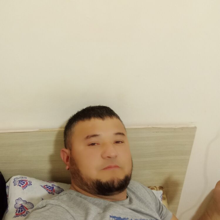  45413525   , 39 ,    
