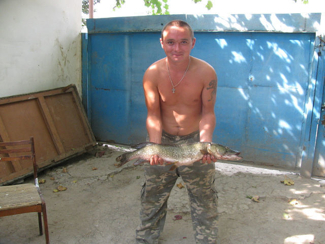 ���� 6174395 ������� �����, 42 ����, ���� ���������� � �����