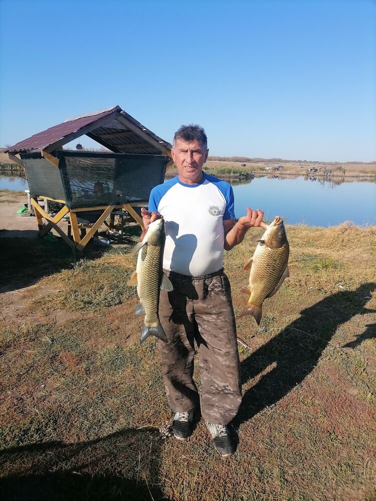  47700735  ϸ, 55 ,    