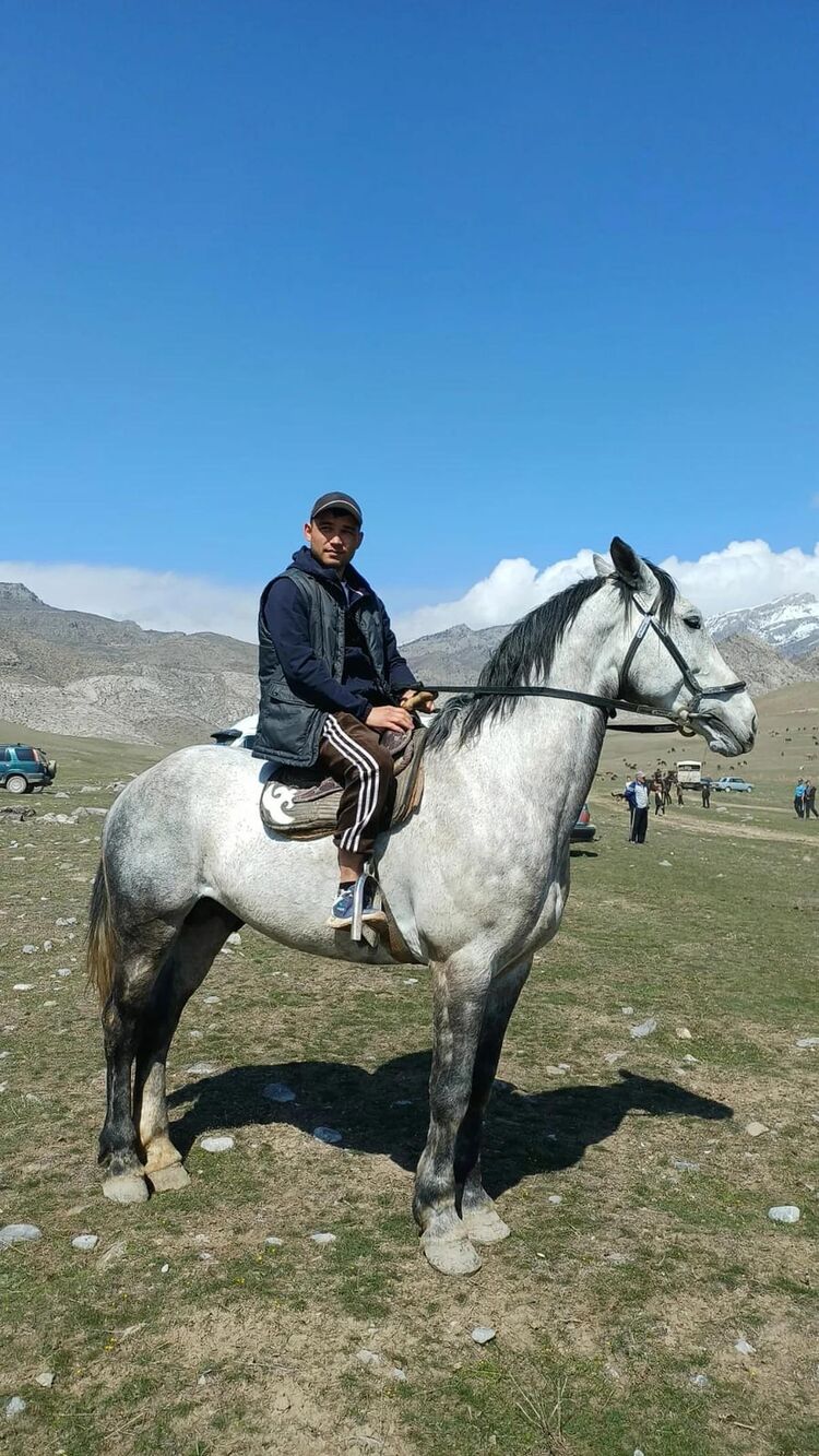 ���� 56173175 ������� ����, 26 ���, ���� ���������� � �������