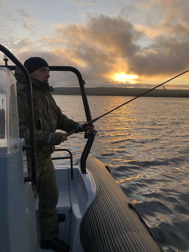  17435005  , 33 ,    -