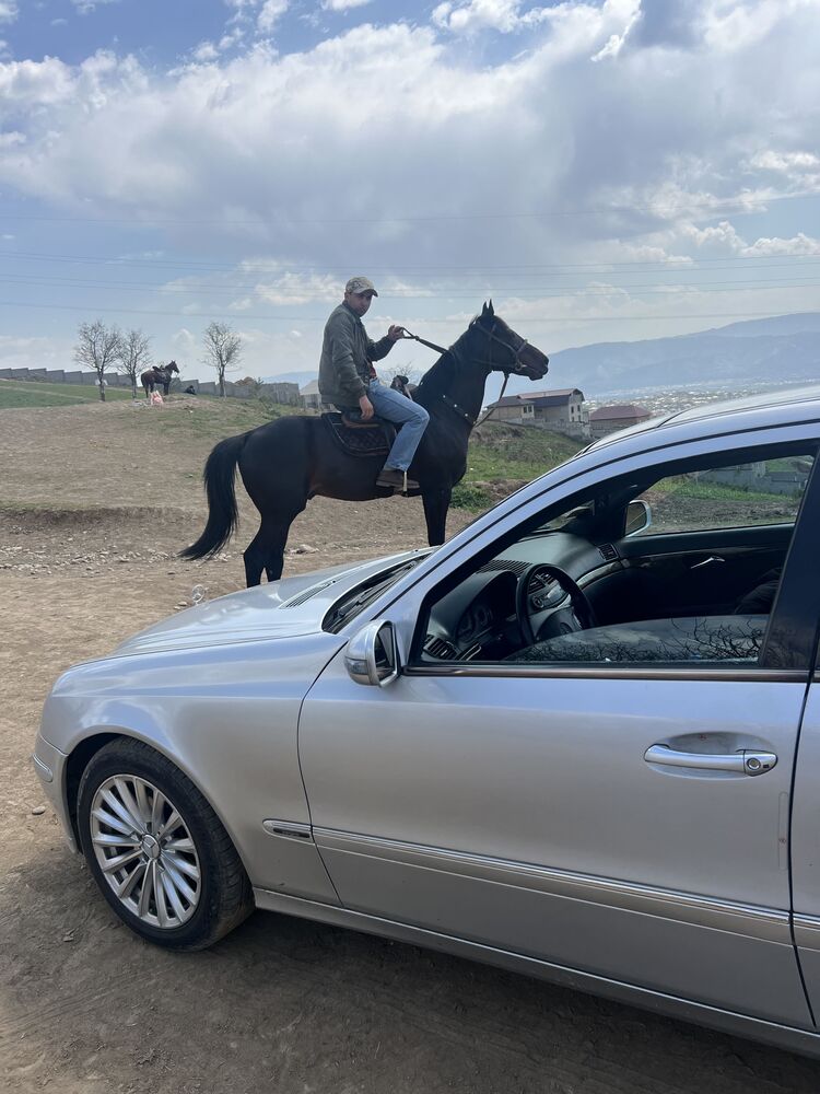 ���������� ������, ���� ������� ������, 32 ����, ������������ ��� ������, ����� � ���������