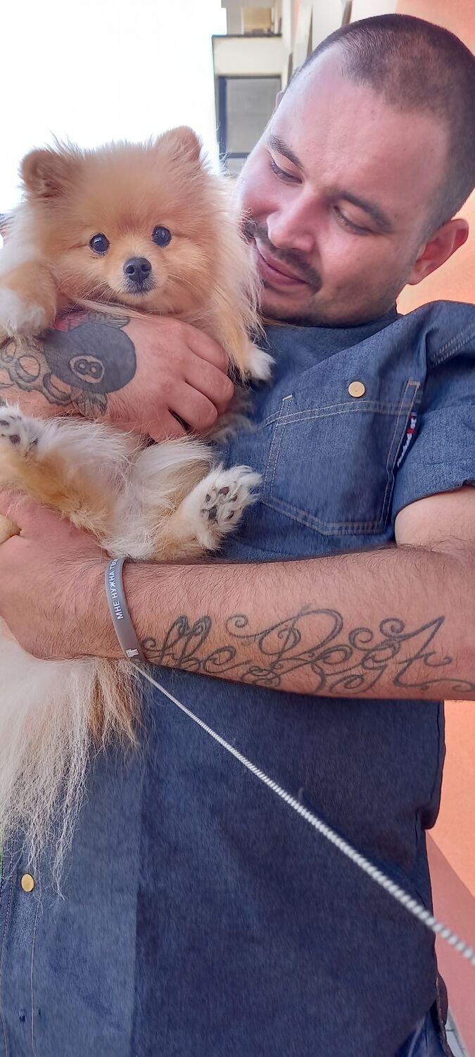 ���� 24504465 ������� ����, 33 ����, ���� ���������� � ������