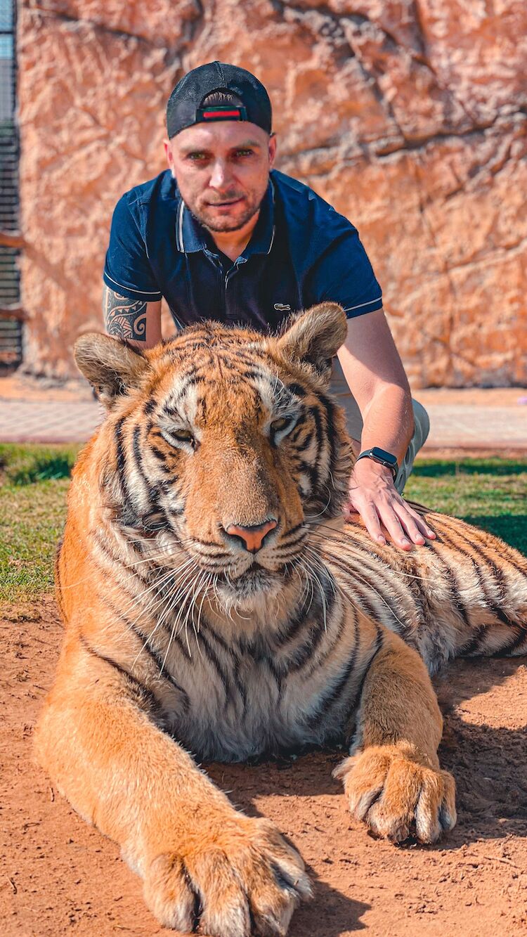 ���� 55144535 ������� ���������, 42 ����, ���� ���������� � ���������