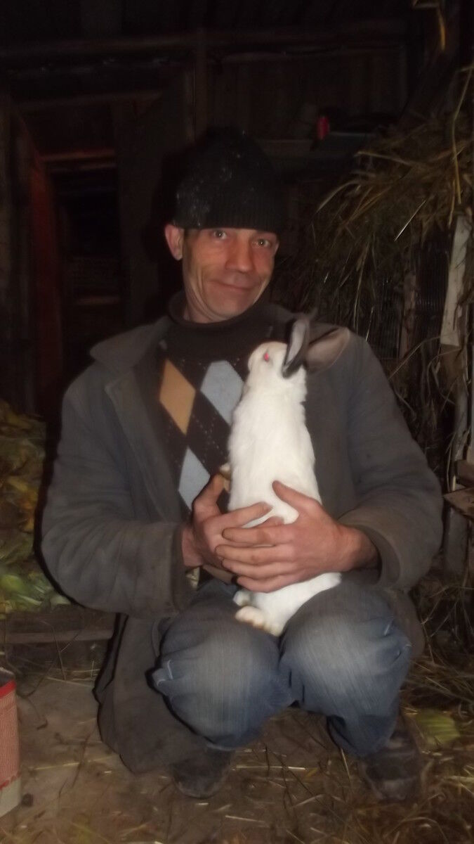  4394145  , 40 ,    -