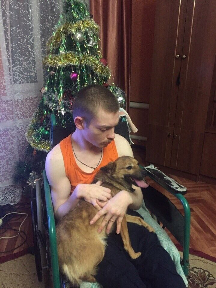 ���� 38346705 ������� ���, 34 ����, ���� ���������� � �������