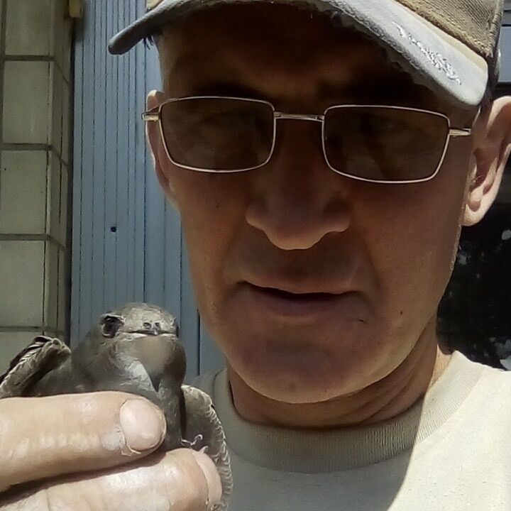  ,   , 55 ,     , c 