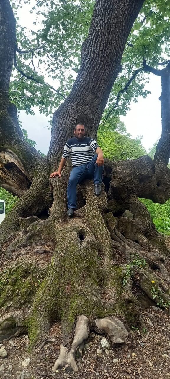 ���� 29292735 ������� �����, 45 ���, ���� ���������� � ������