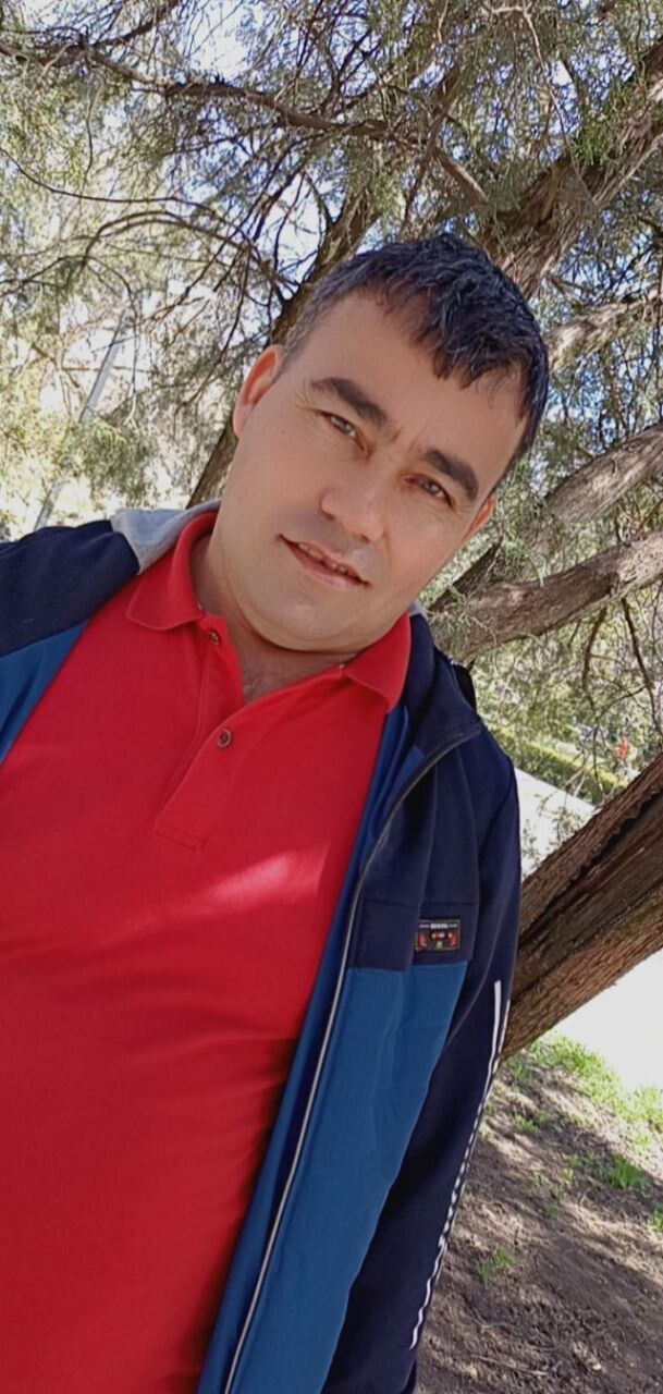  --,   , 37 ,   ,   