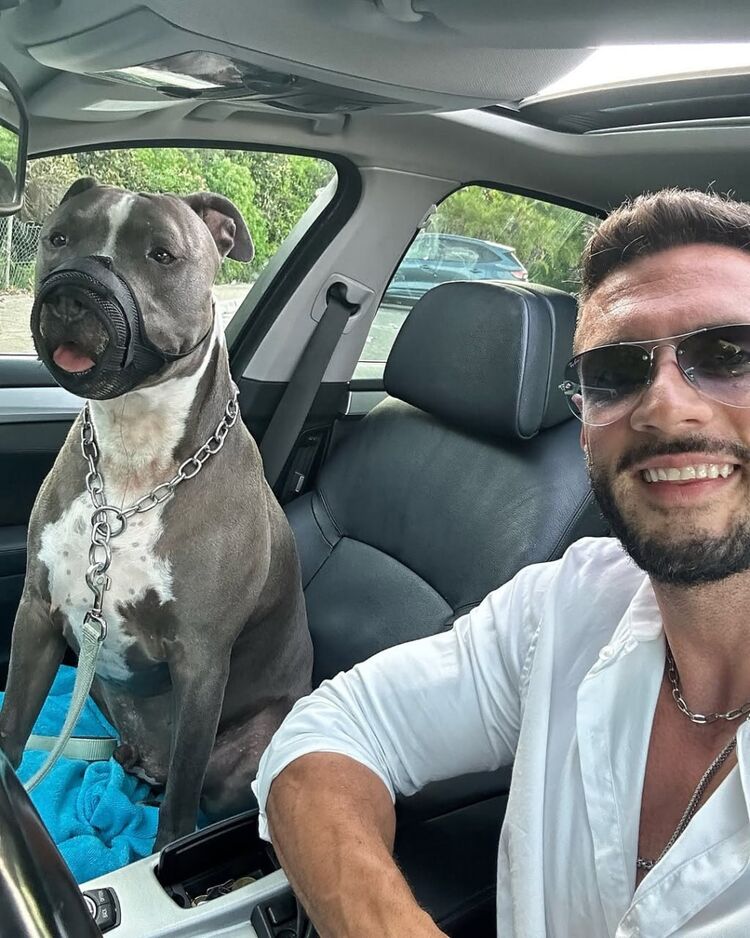 ���������� ������, ���� ������� ����, 36 ���, ������������ ��� ������, ����� � ���������