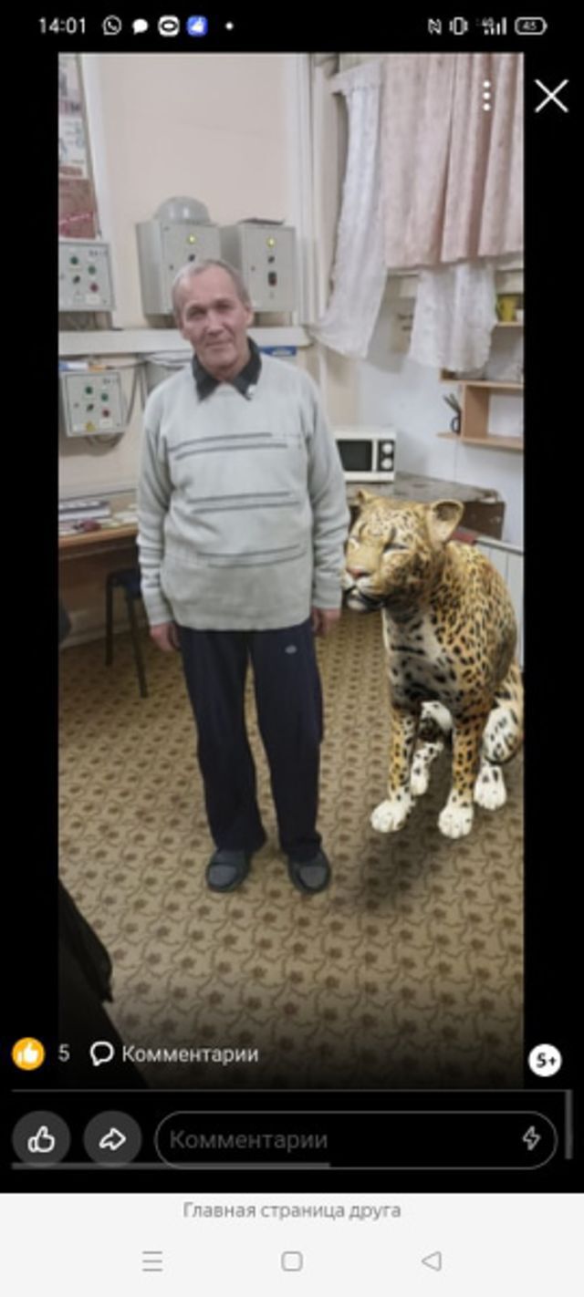  36744555  , 62 ,    -