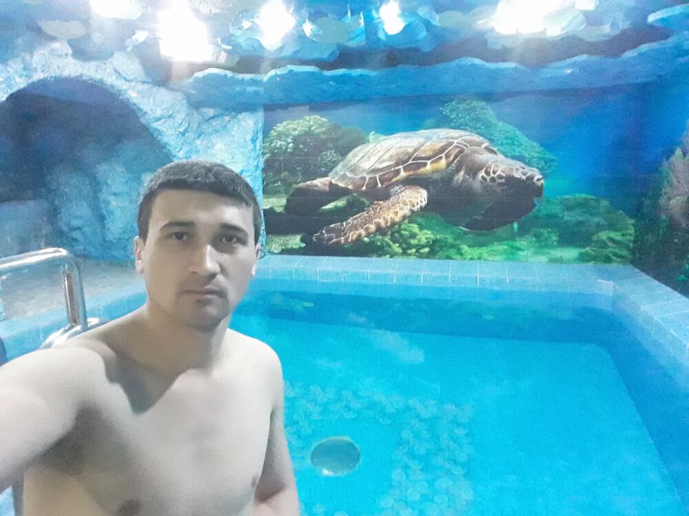  ,   , 34 ,   ,   , 