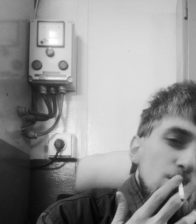  43468755  , 29 ,    