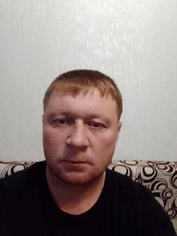  47865455  , 38 ,    