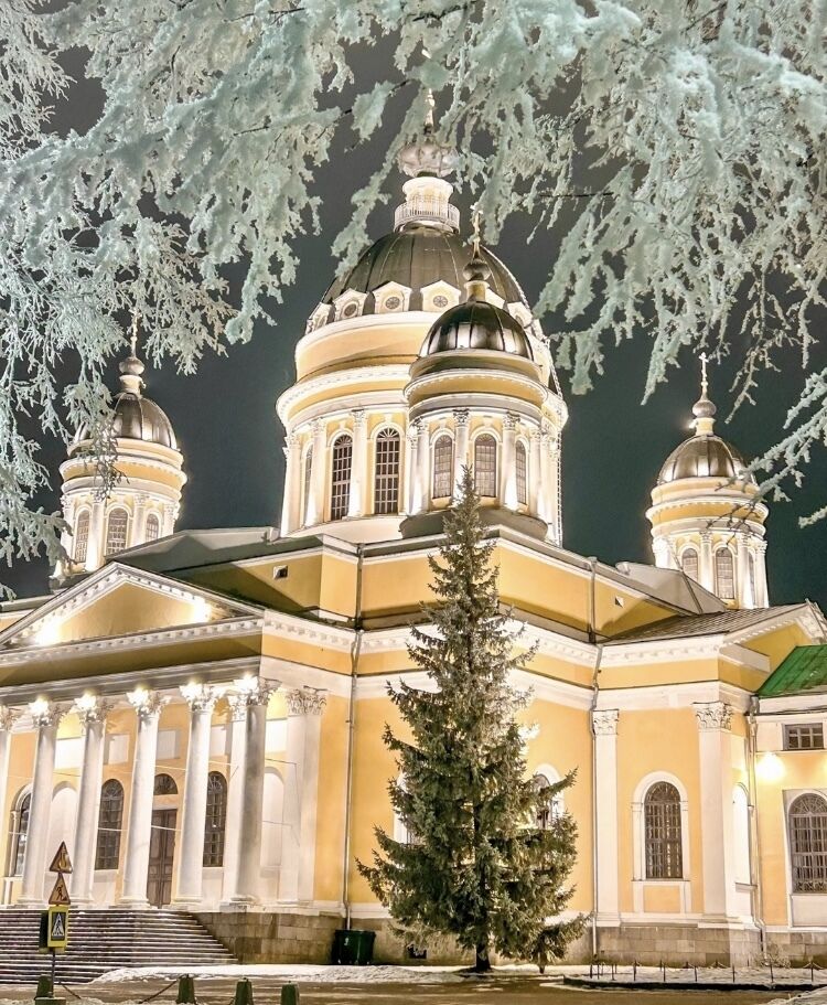  49630565  Irina, 52 ,    