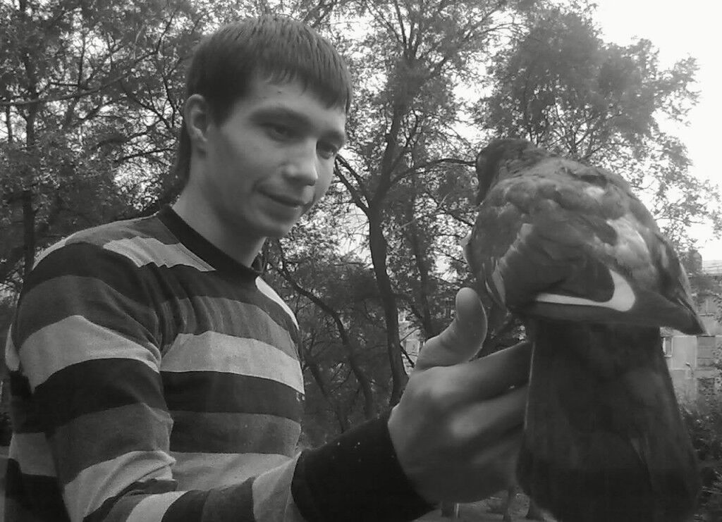 ���� 11446355 ������� ����, 36 ���, ���� ���������� � ������������