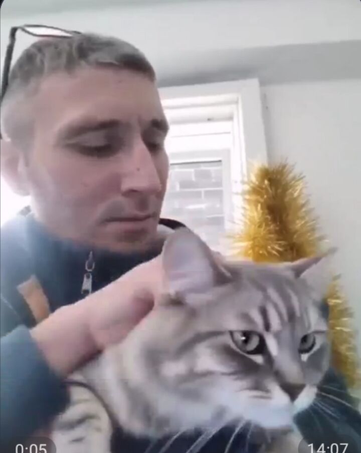 ���������� �������, ���� ������� �����, 49 ���, ������������ ��� ������, ����� � ���������, c�������� ���������, ���������