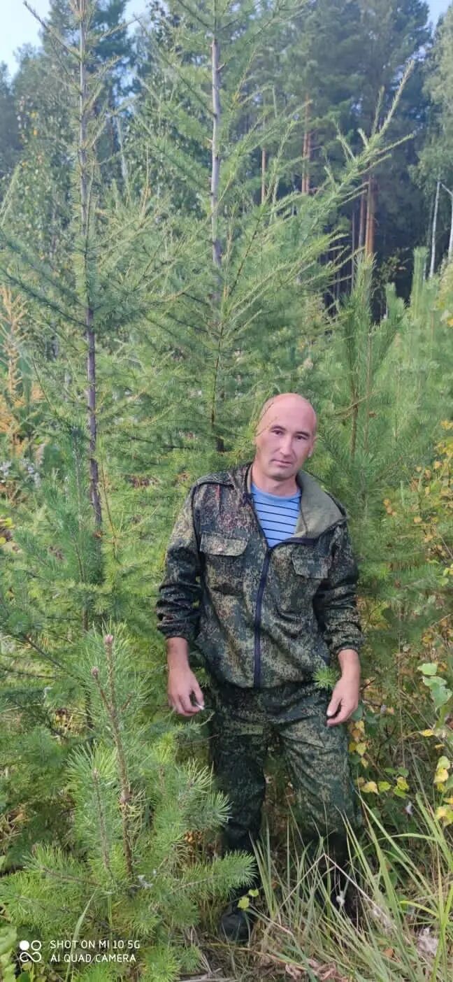 ���������� ������, ���� ������� ���������, 41 ���, ������������ ��� ������, ����� � ���������, c�������� ���������