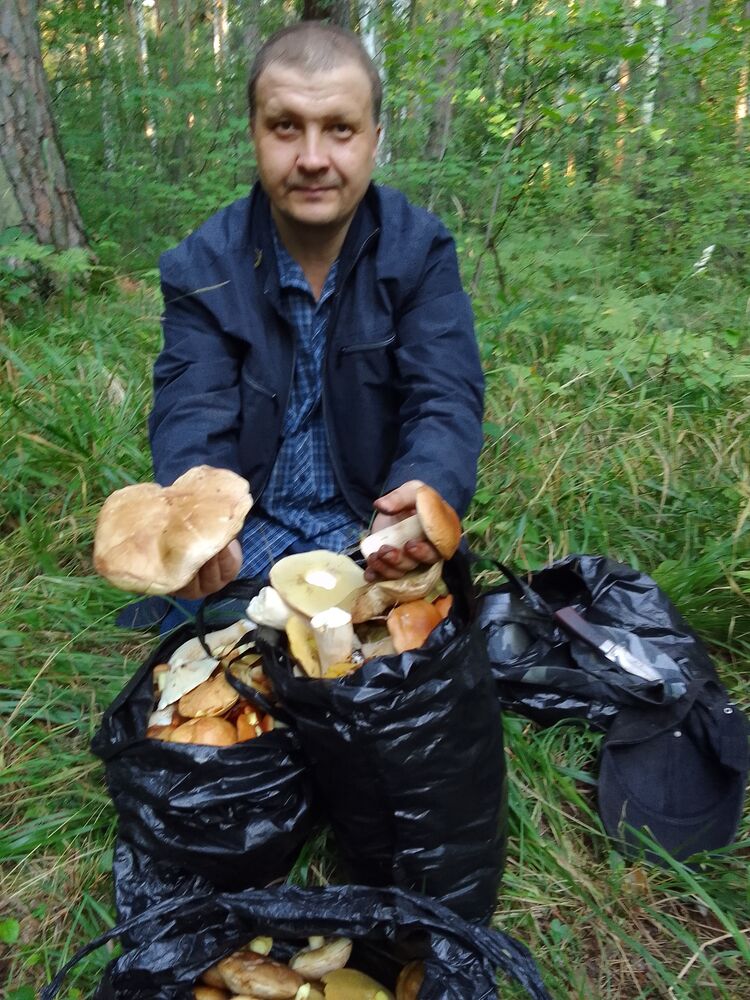  ,   Martinovih, 46 ,   ,   , c 