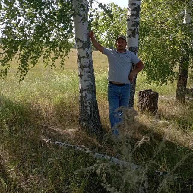 ���� 47504435 ������� �����, 45 ���, ���� ���������� � ������