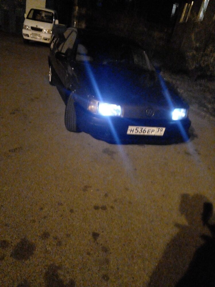 ���������� �����������, ���� ������� ����, 29 ���, ������������ ��� ������, ����� � ���������, c�������� ���������