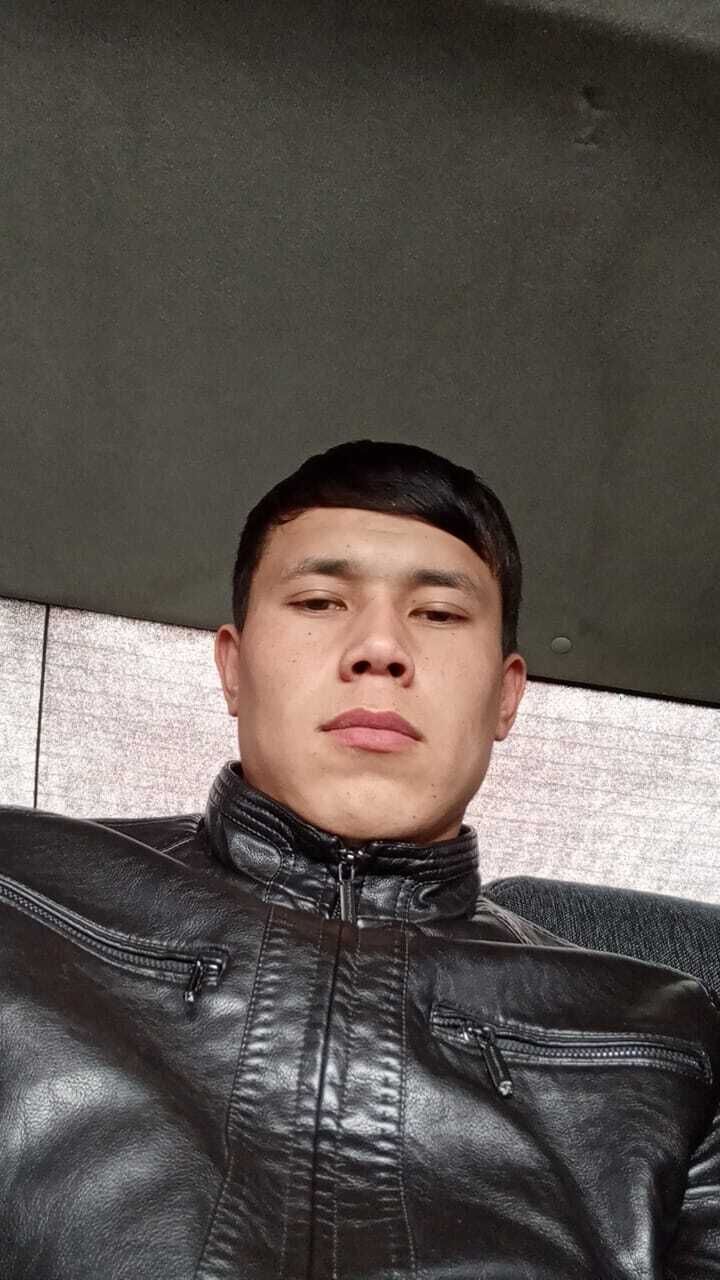  43208885  , 22 ,    